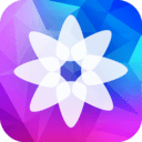 精选壁纸app手机版v1.4.3手机版