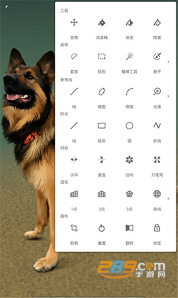 painter手机版7.0官方下载最新版v7.0.6最新手机版