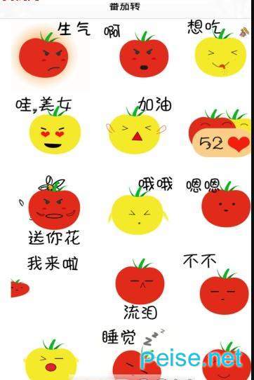 番茄转下载