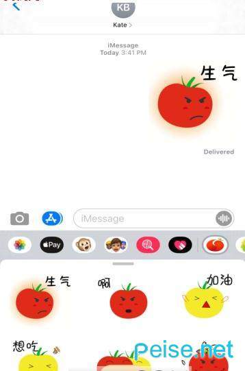 番茄转下载