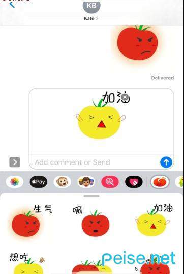 番茄转下载