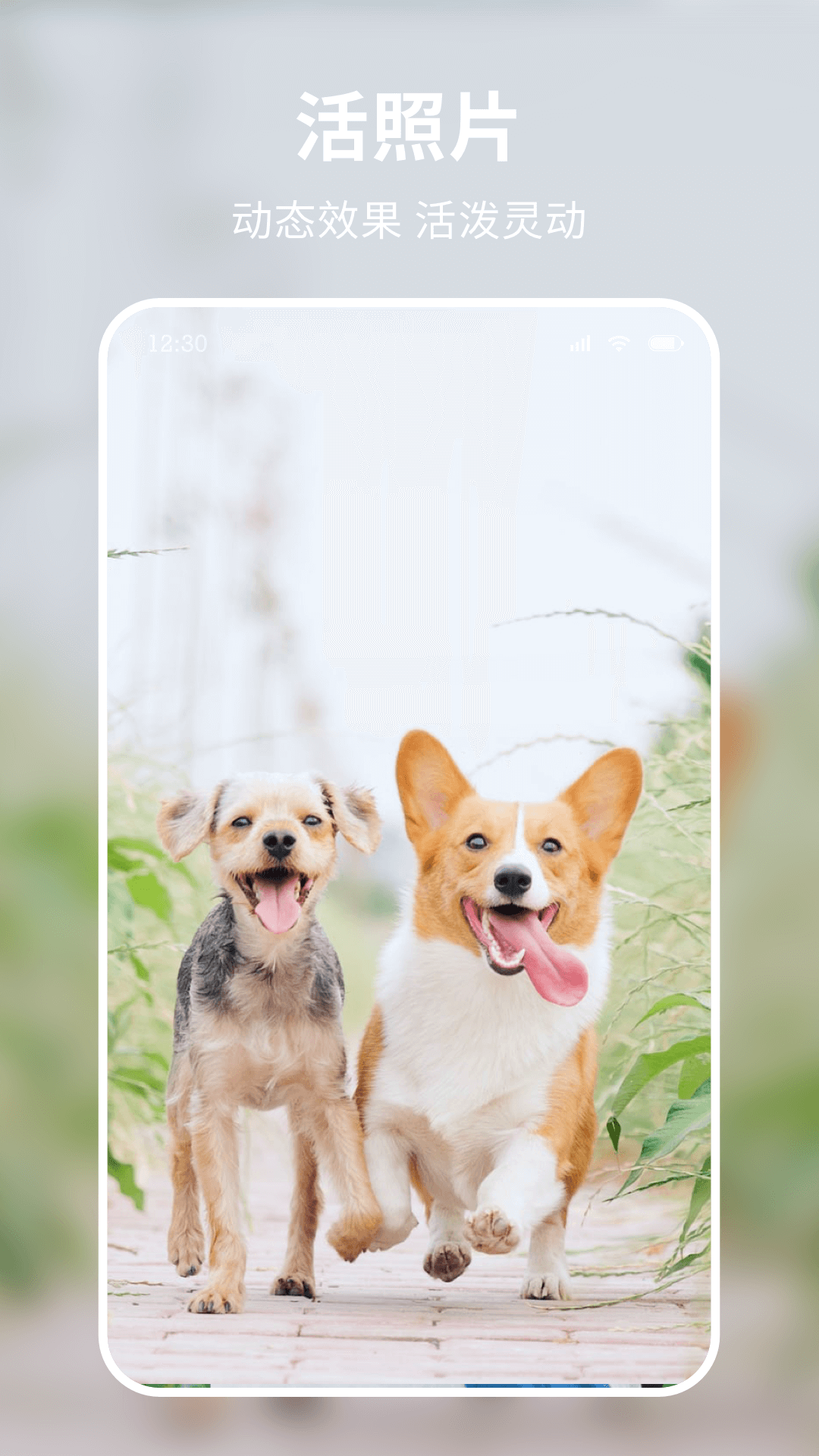 米图秀秀 米图秀秀