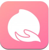 白桃集市