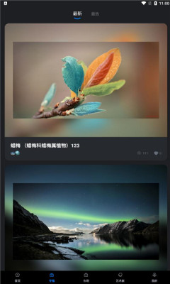 元视觉藏品