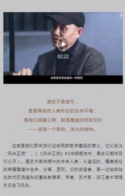 Meta Art数字藏品至尊版 vl