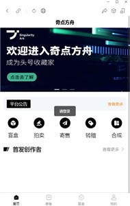 奇点方舟数字藏品