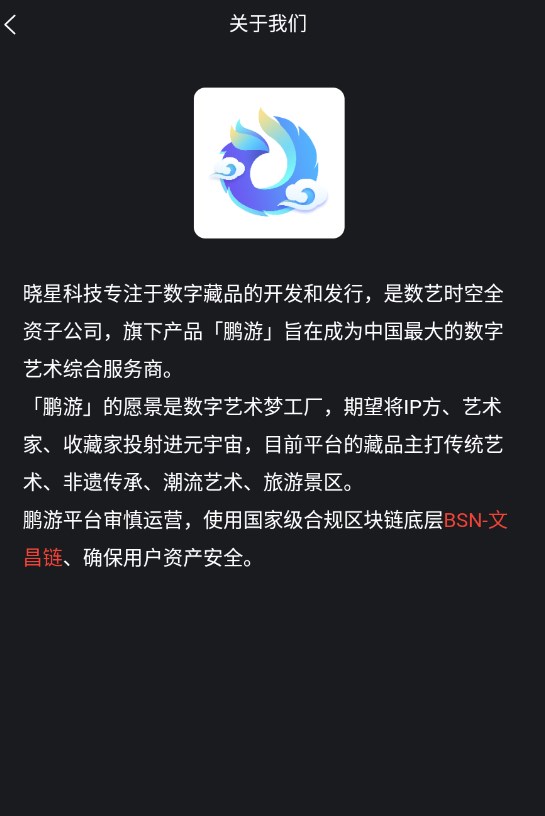 鹏游数字藏品app官方版下载