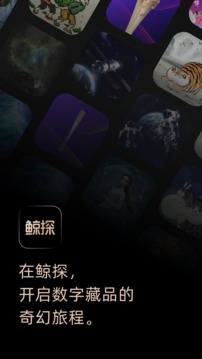 鲸探数字藏品app最新版