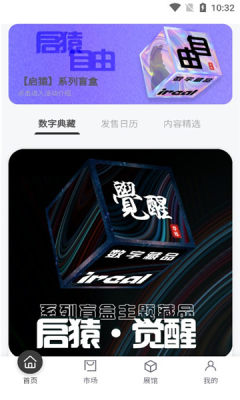 ireal数字藏品至尊版  vl