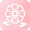 石竹花贷款app