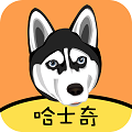 哈士奇贷款