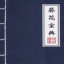 葵花宝典贷款