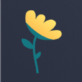 弹个花贷款