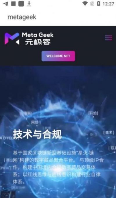 元极客数字藏品