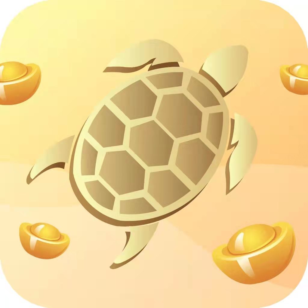 花金龟贷款