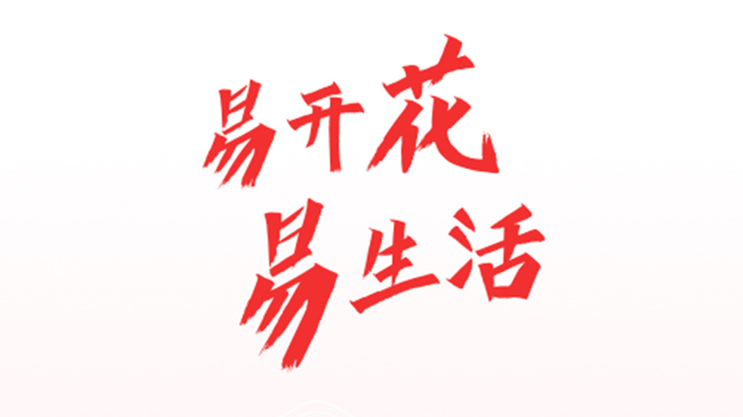 易开花贷款app