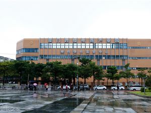 上半年四川省跨境电商交易规模446.71亿元 同比增长67.8%