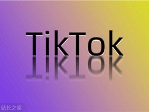 甲骨文着手检查TikTok内容演算法与判断机制