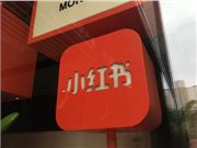 小红书宠物内容7月日均搜索同比增长338%