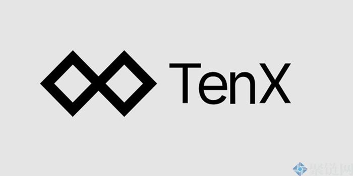 PAY币是什么币？TenX/PAY币全面介绍
