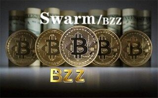 为什么最近奇亚币的价格一直在下跌？