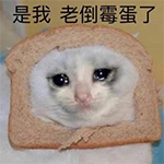 从拥有比特币到一无所有，他经历了什么？