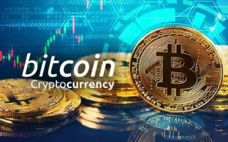 中本聪币价值多少 _ 中本聪币最新价格