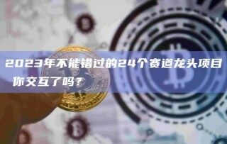 2023年不能错过的24个赛道龙头项目 你交互了吗？