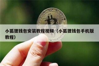 小狐狸钱包安装教程视频（小狐狸钱包手机版教程）