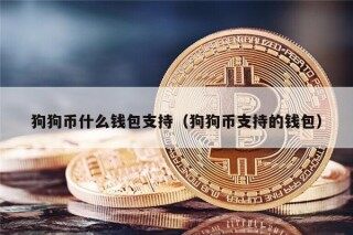狗狗币什么钱包支持（狗狗币支持的钱包）