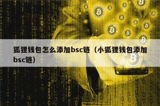 狐狸钱包怎么添加bsc链（小狐狸钱包添加bsc链）