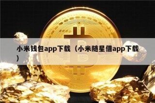 小米钱包app下载（小米随星借app下载）