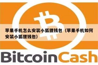 苹果手机怎么安装小狐狸钱包（苹果手机如何安装小狐狸钱包）