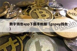 数字钱包app下载手机版（gopay钱包）