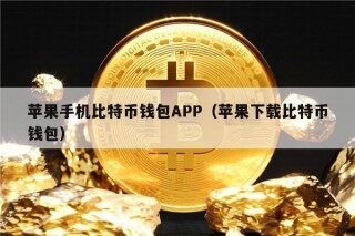 苹果手机比特币钱包APP（苹果下载比特币钱包）
