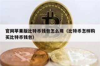 官网苹果版比特币钱包怎么用（比特币怎样购买比特币钱包）
