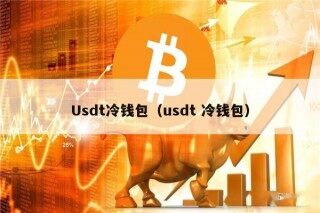 Usdt冷钱包（usdt 冷钱包）