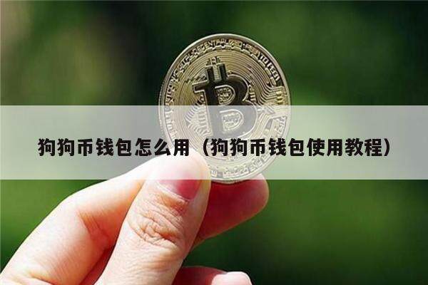 狗狗币钱包怎么用（狗狗币钱包使用教程）-第1张图片-欧意下载