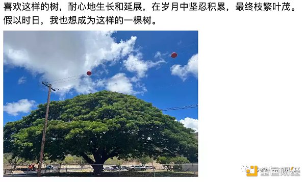 Women in Web3:区块链的超级女性力量-第2张图片-欧易下载 Women in Web3:区块链的超级女性力量-第2张图片-欧易下载