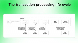 Aptos是资本推动的又一个Solana吗？