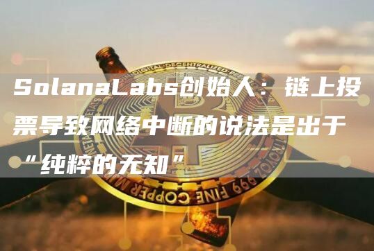 SolanaLabs创始人：链上投票导致网络中断的说法是出于“纯粹的无知”1