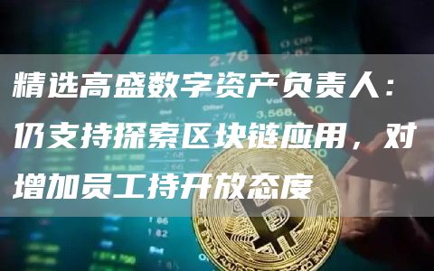 精选高盛数字资产负责人：仍支持探索区块链应用，对增加员工持开放态度1