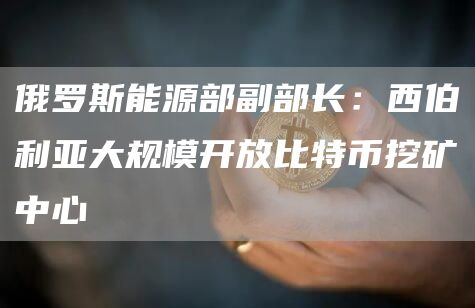 俄罗斯能源部副部长：西伯利亚大规模开放比特币挖矿中心1