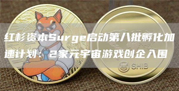 红杉资本Surge启动第八批孵化加速计划:2家元宇宙游戏创企入围1
