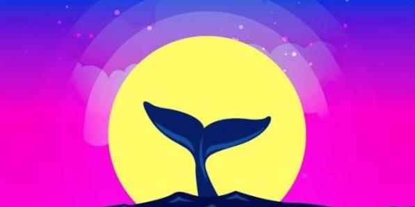 币圈交易所列表一览（2023十大正规交易平台说明）1