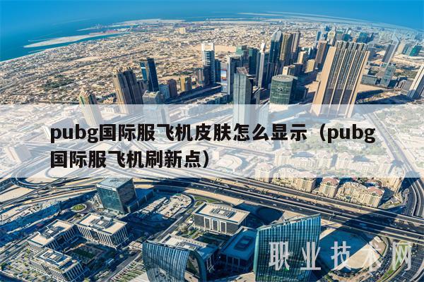 pubg国际服飞机皮肤怎么显示（pubg国际服飞机刷新点）-第1张图片-binance下载