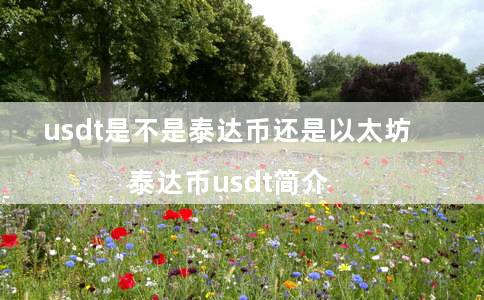 usdt是不是泰达币还是以太坊（泰达币usdt简介）-第1张图片-binance下载