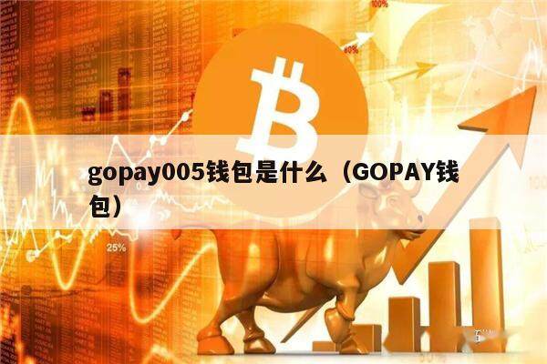 gopay005钱包是什么（GOPAY钱包）-第1张图片-binance下载
