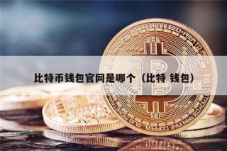 比特币钱包官网是哪个（比特 钱包）