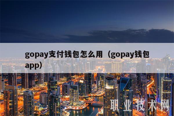 gopay支付钱包怎么用（gopay钱包app）-第1张图片-binance下载